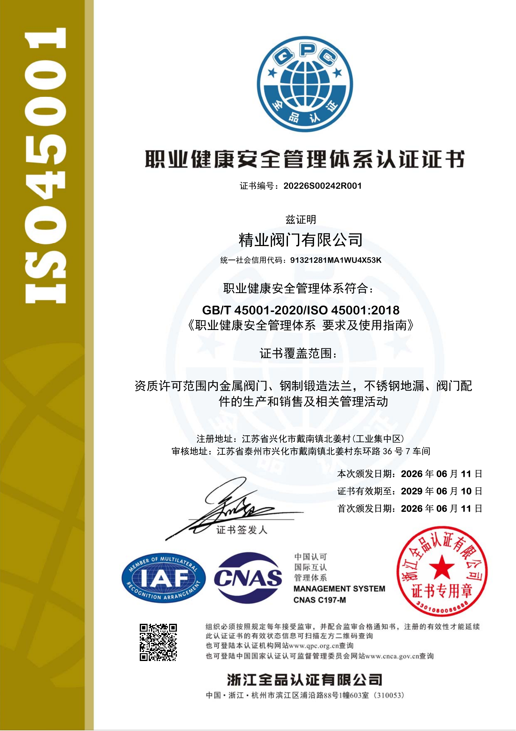 ISO 45001 中文